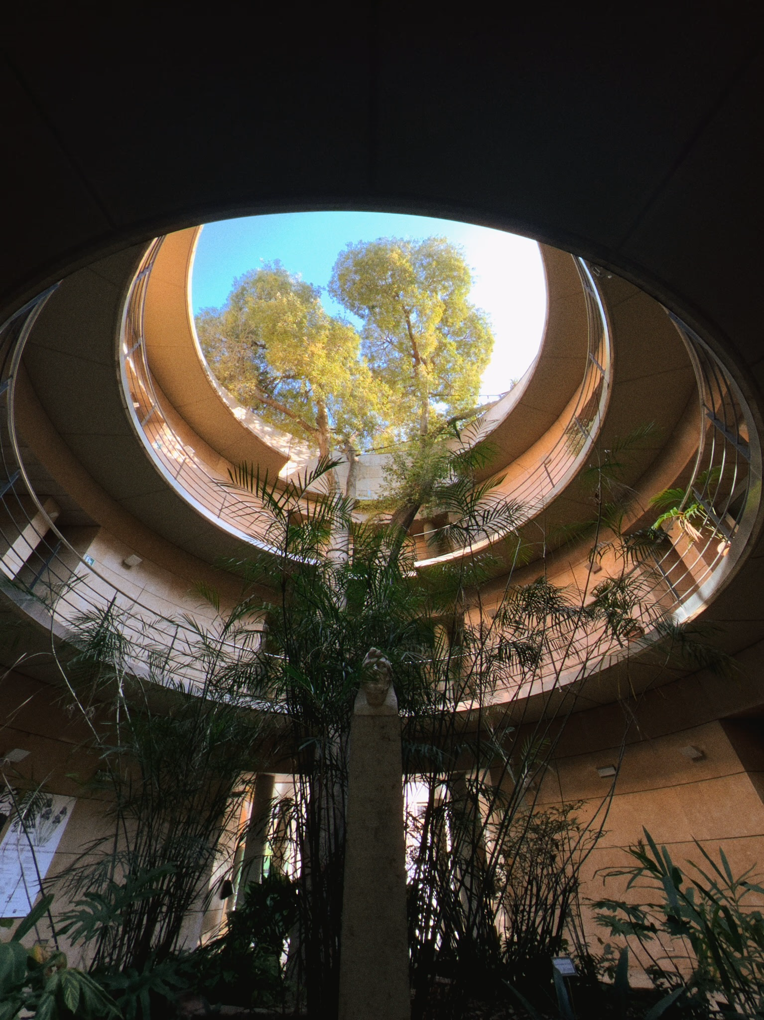 Image from September 2024 album