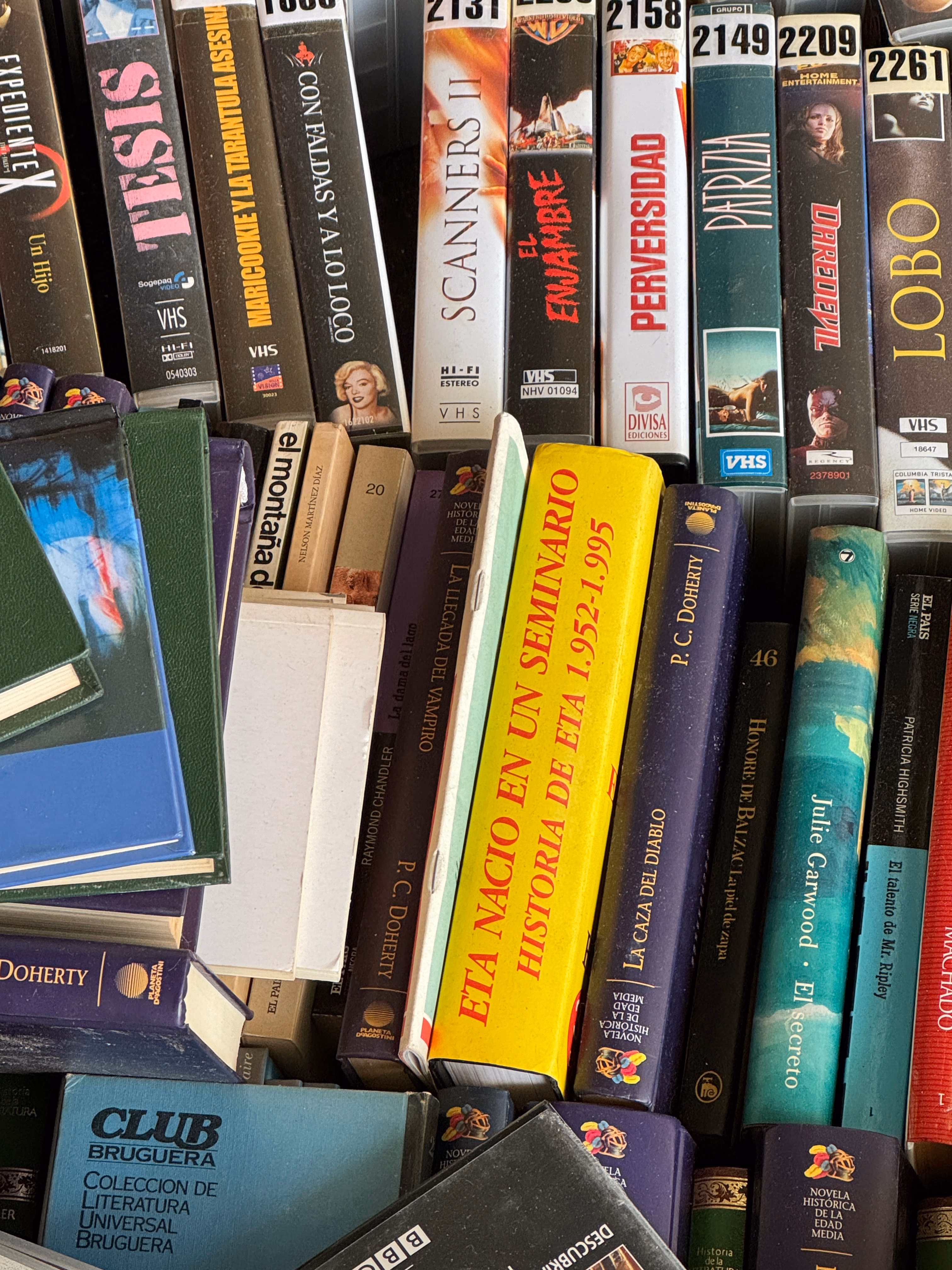 Image from September 2024 album