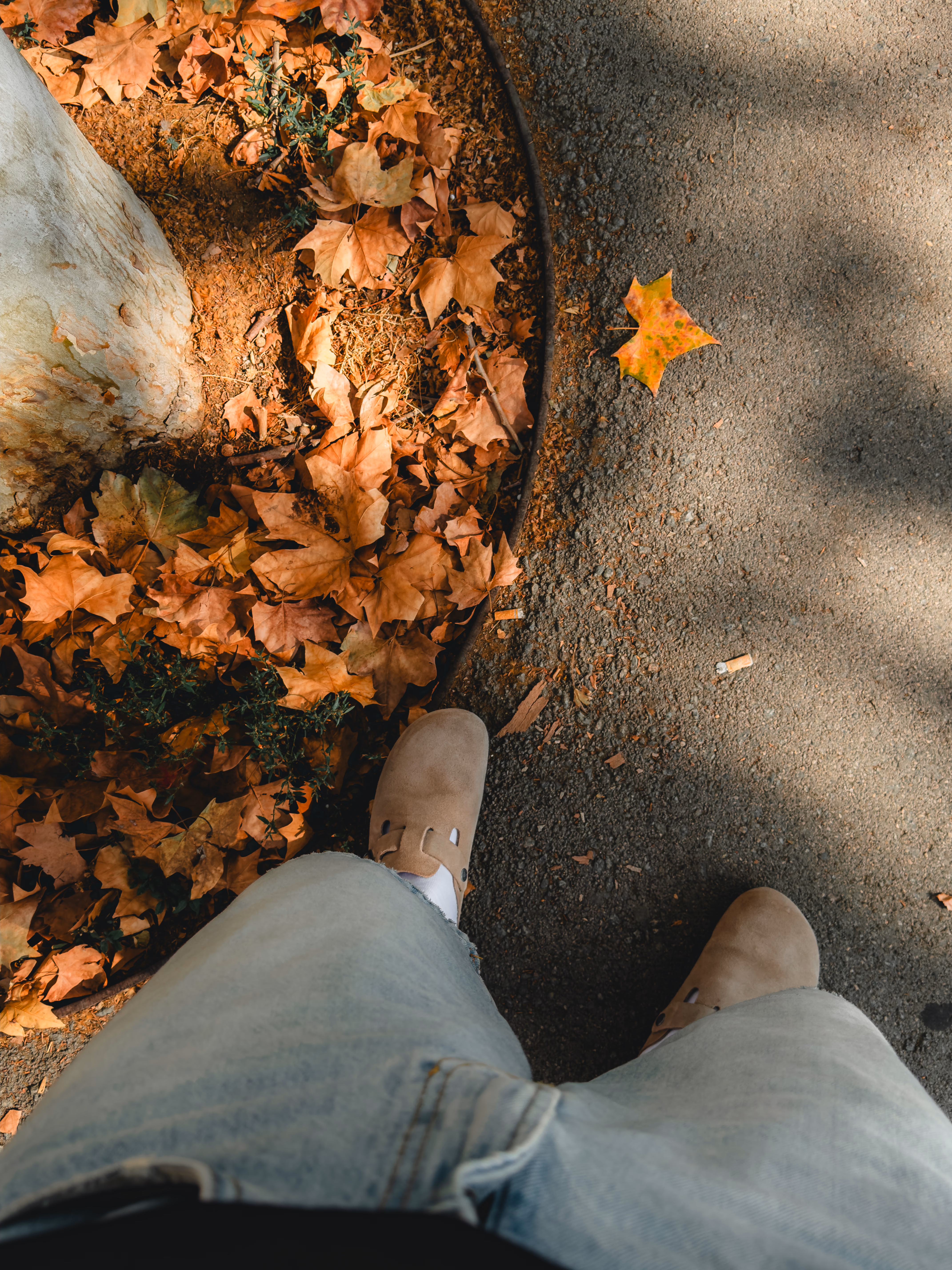 Image from September 2024 album