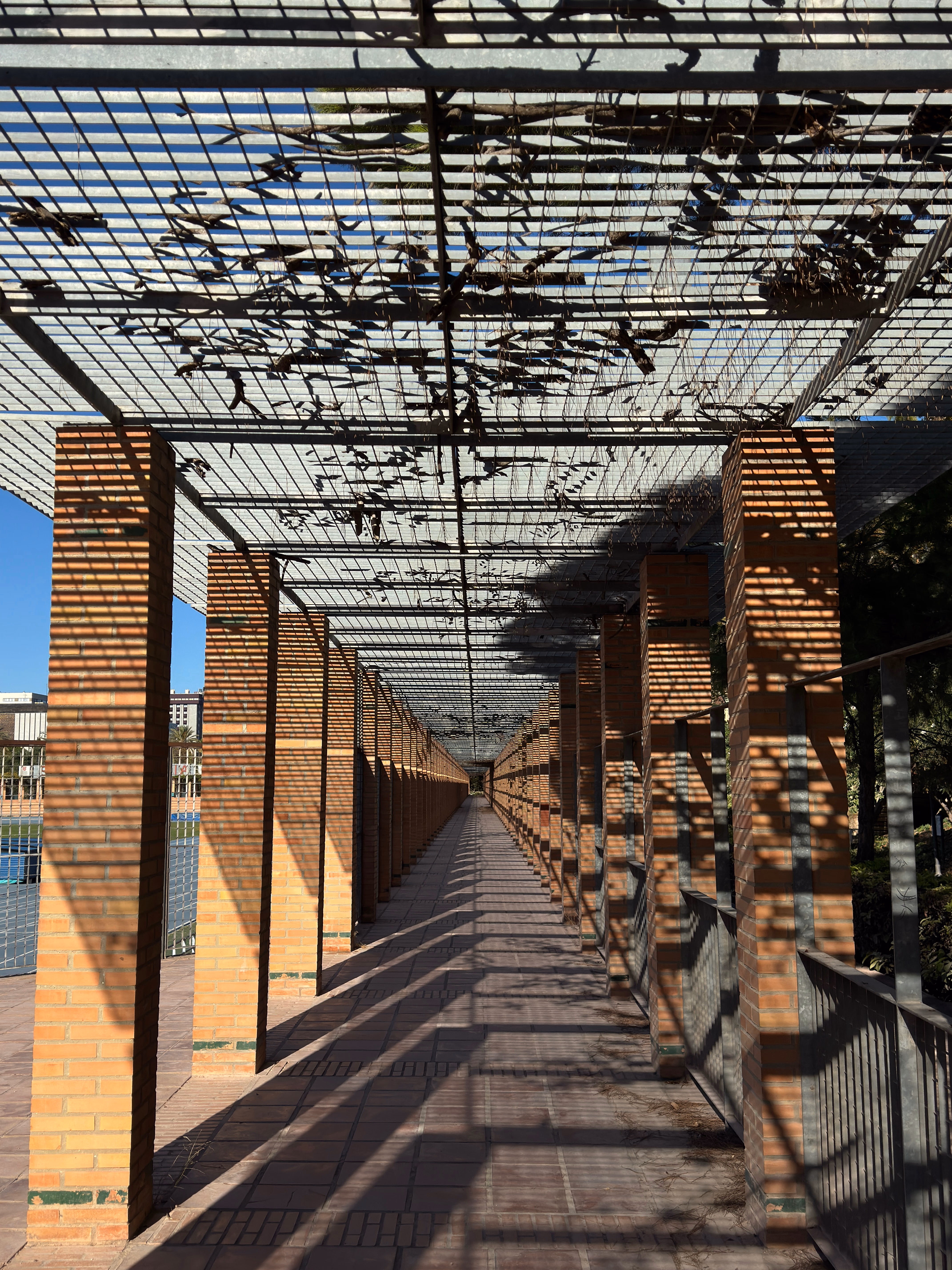 Image from September 2024 album