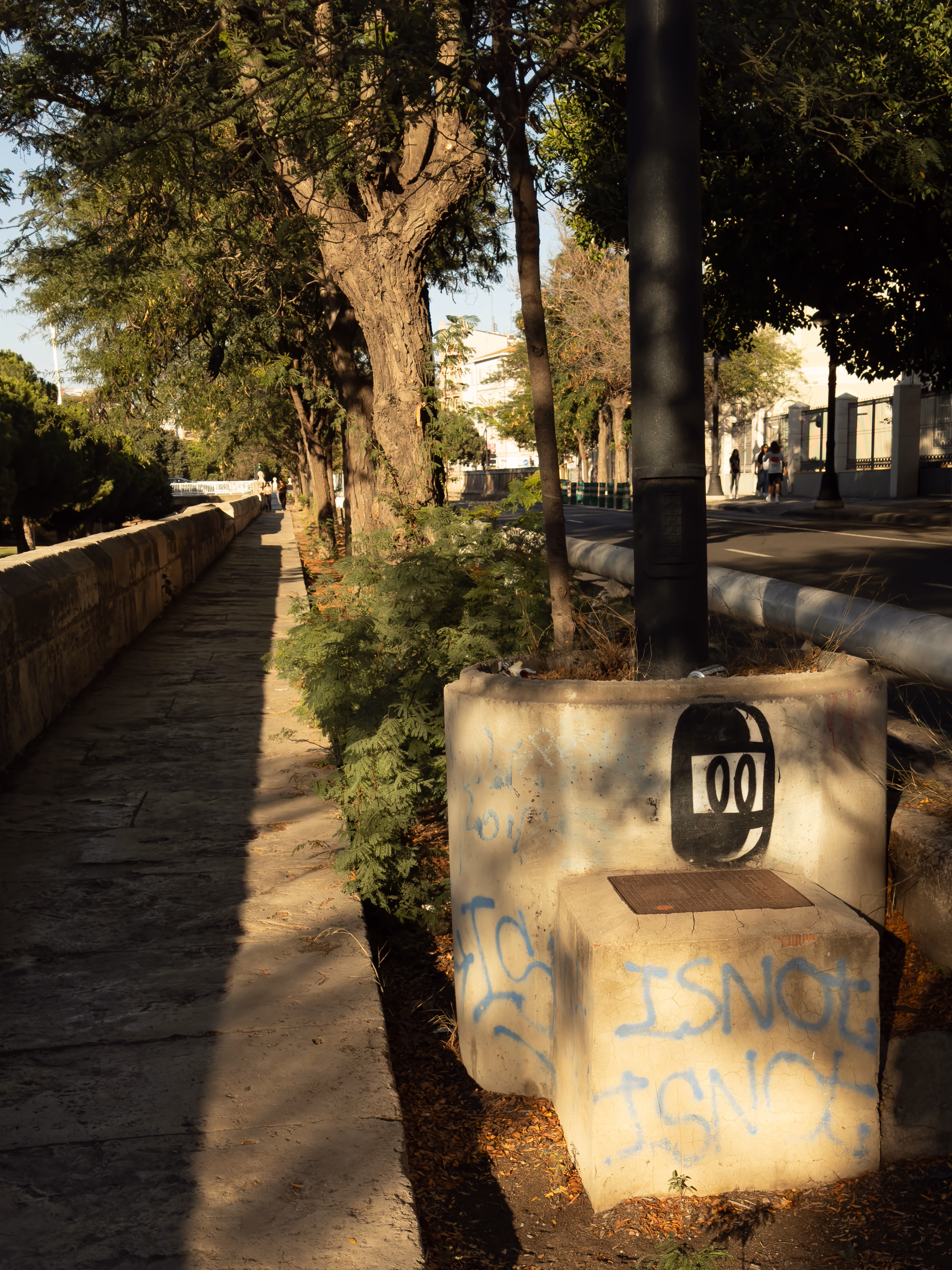 Image from September 2024 album