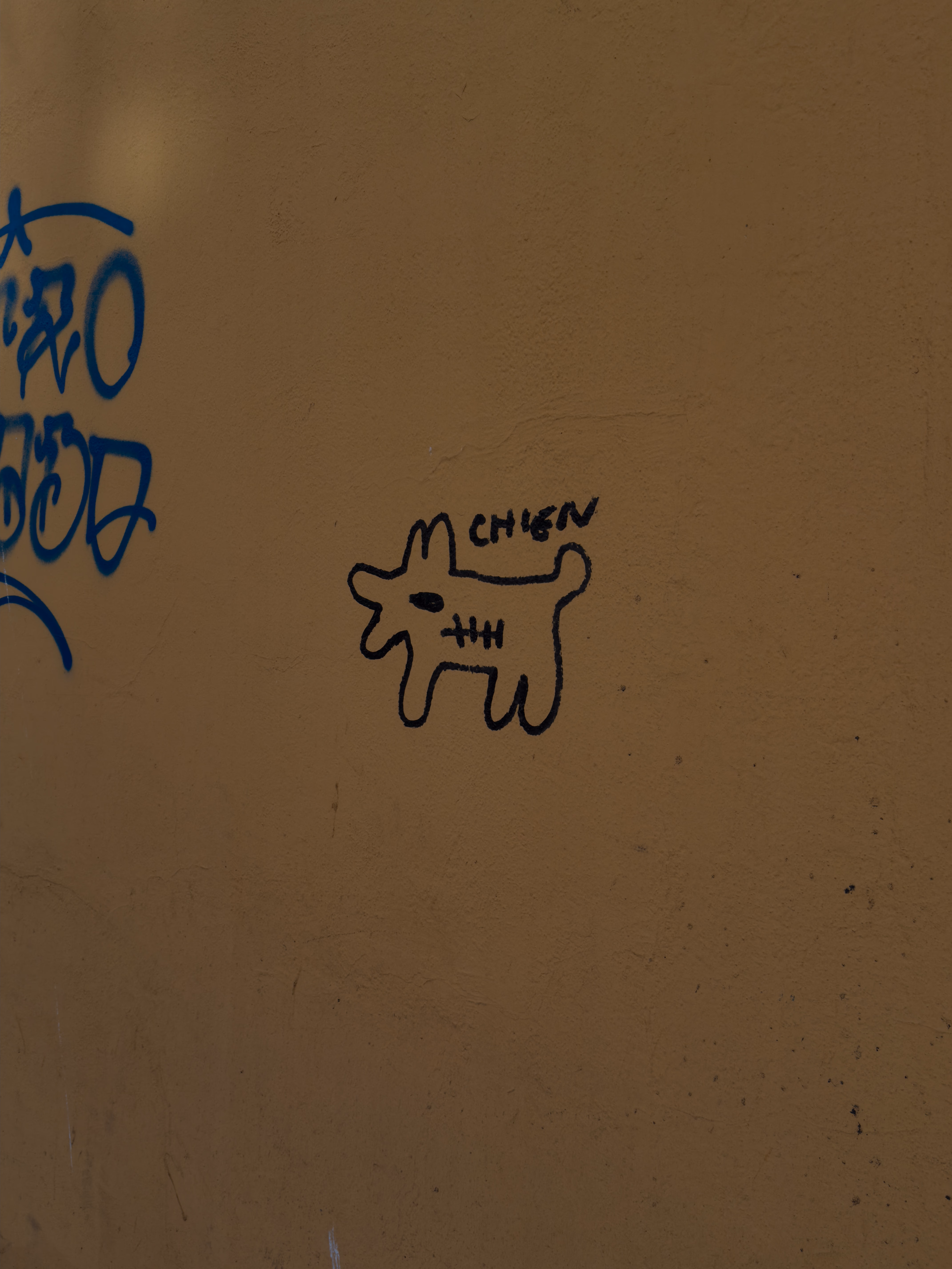 Image from September 2024 album