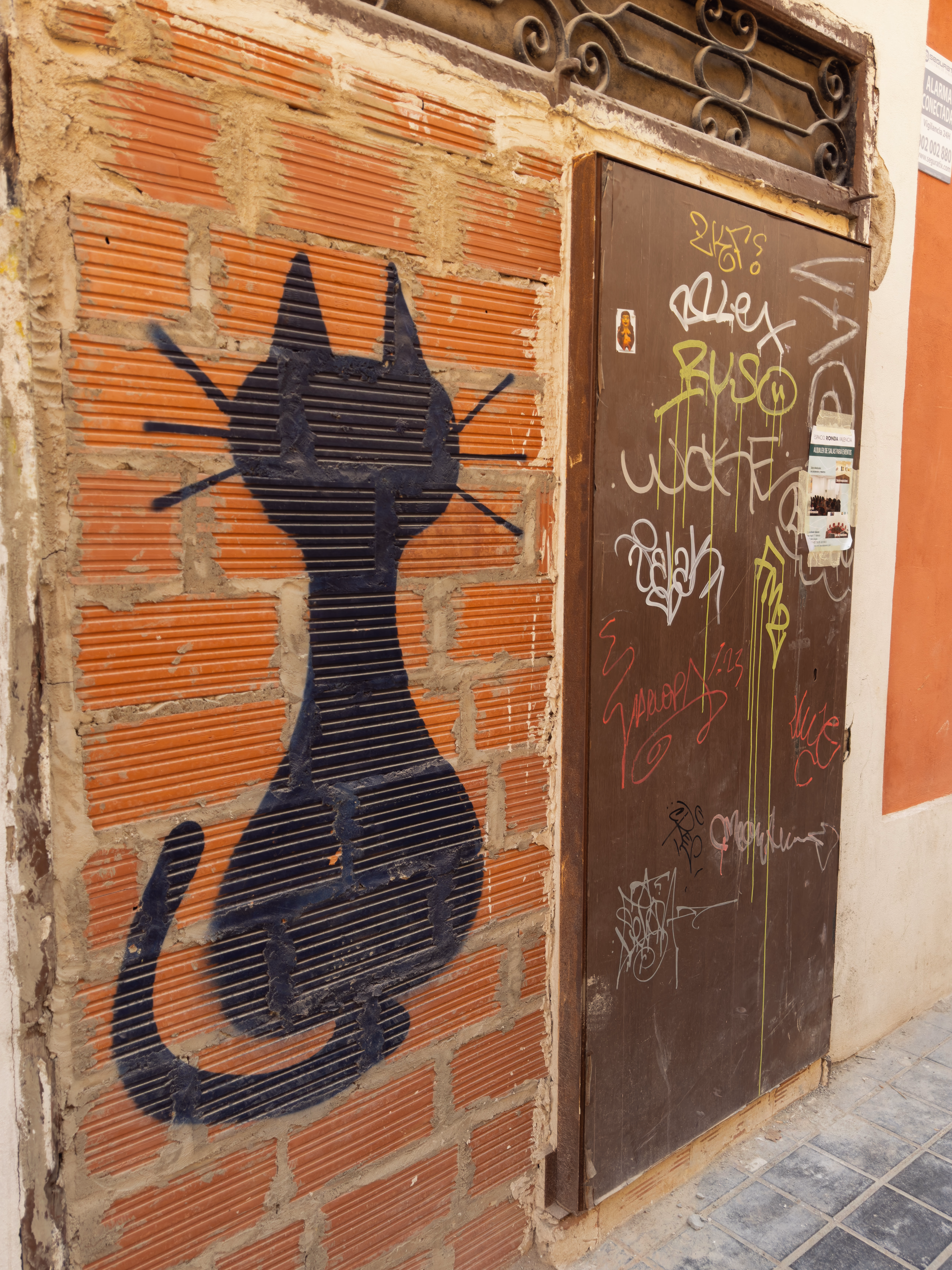 Image from September 2024 album