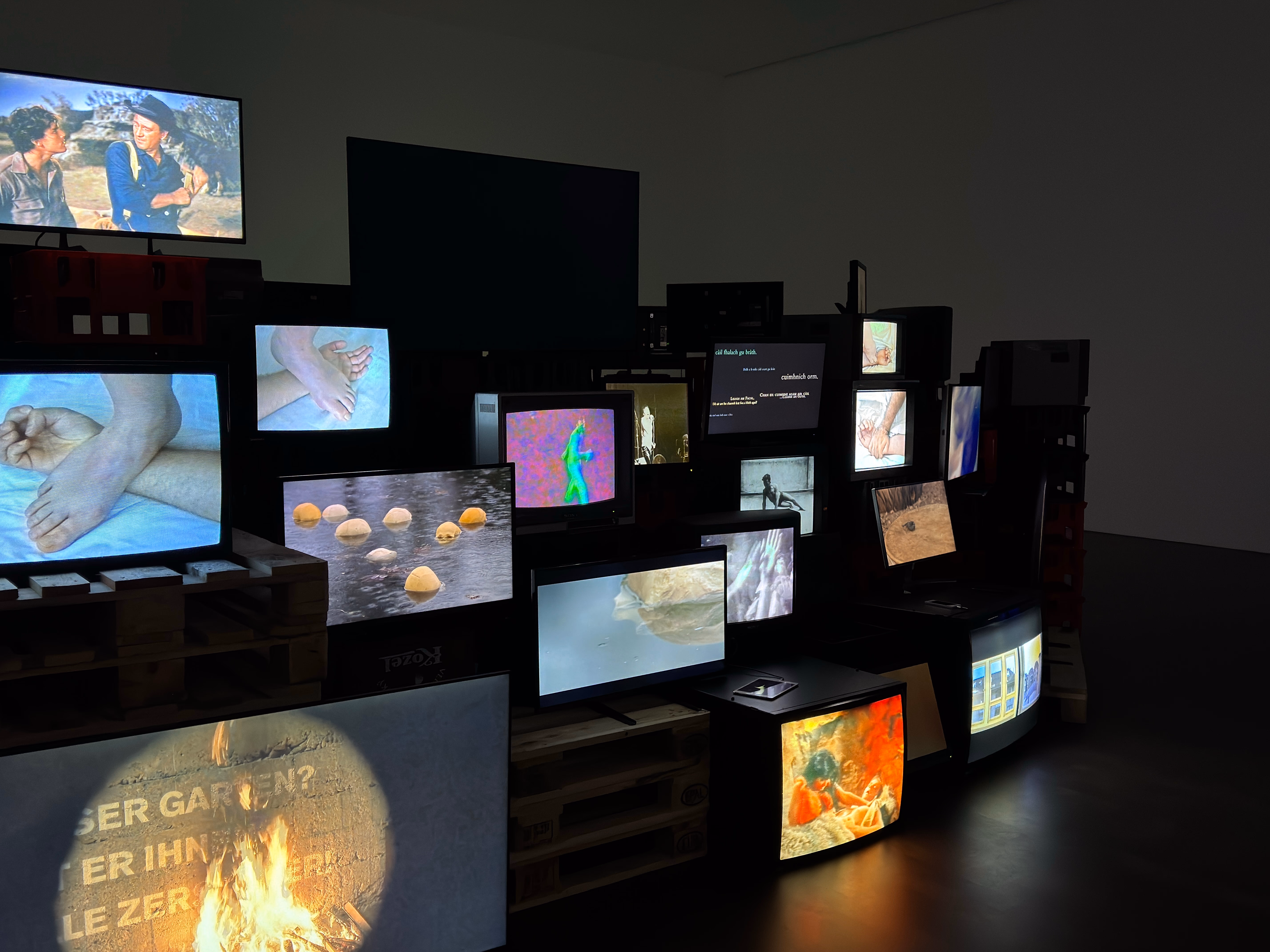 Image from September 2024 album